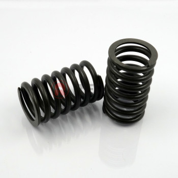 ELEMENT SPRING