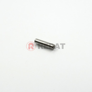 PIN